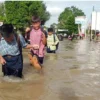 Banyak Sawah Terendam Banjir