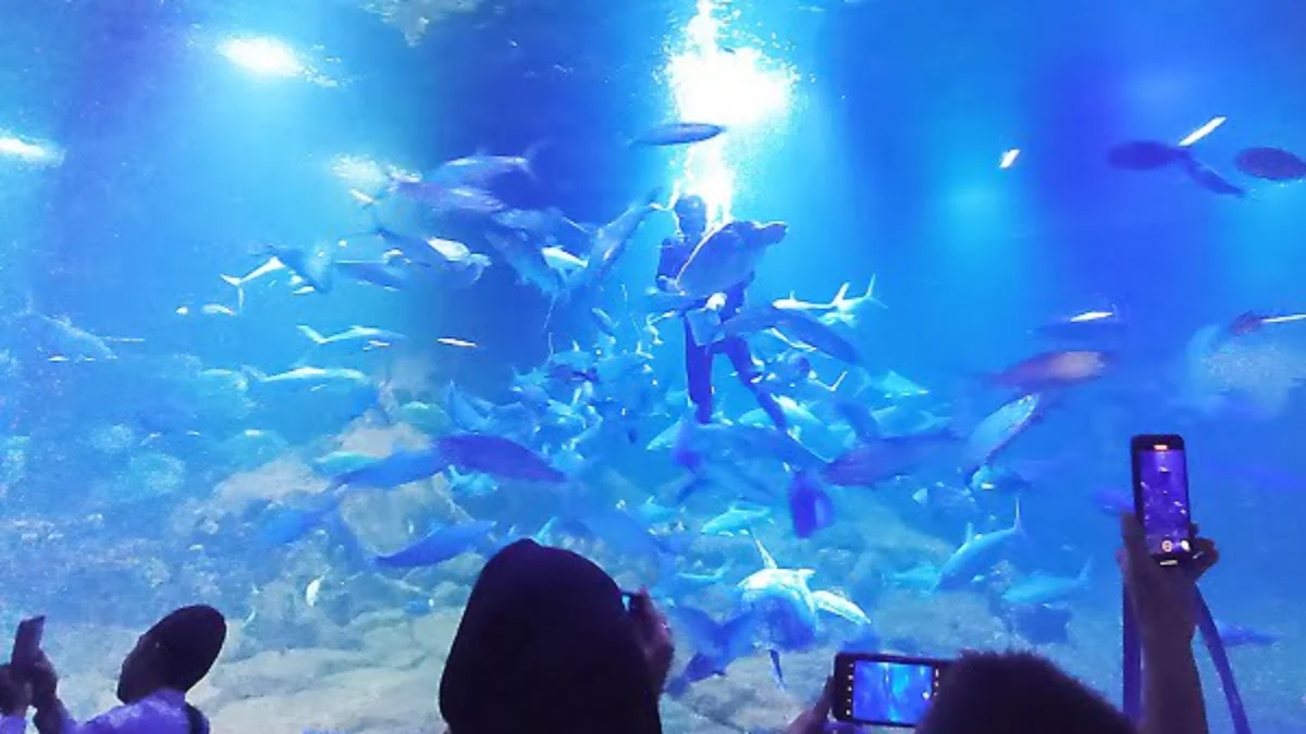 Aquarium Indonesia Dibuka