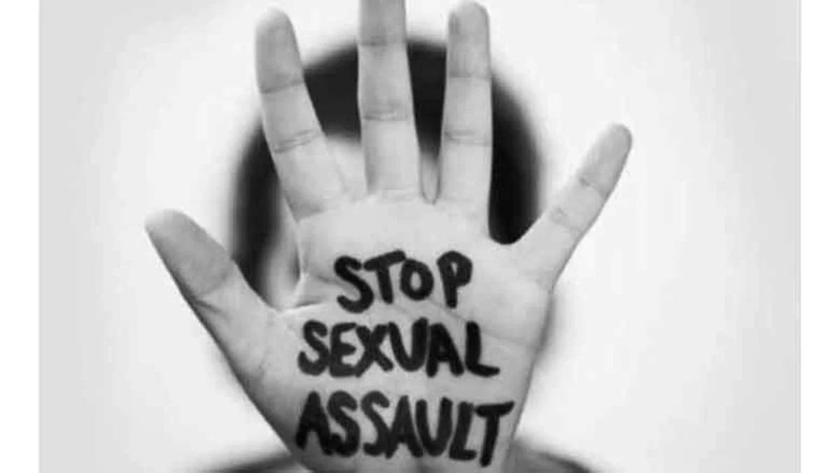pelecehan seksual Kekerasan pada perempuan dan anak