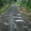 Jalan di kelurahan cipari ini dibiarkan mangkrak selama 2 tahun