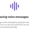 Voice message atau voice note pada DM Twitter