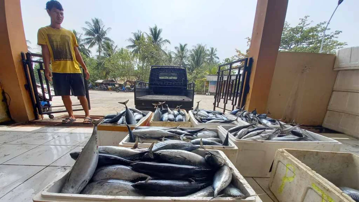 Tangkapan Ikan di Kabupaten Pangandaran