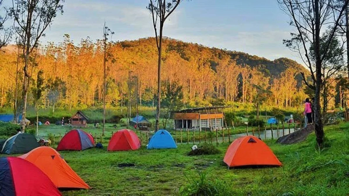 Tempat Camping Ranca Upas