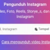 Download video tanpa watermark dari Tiktok dan Instagram