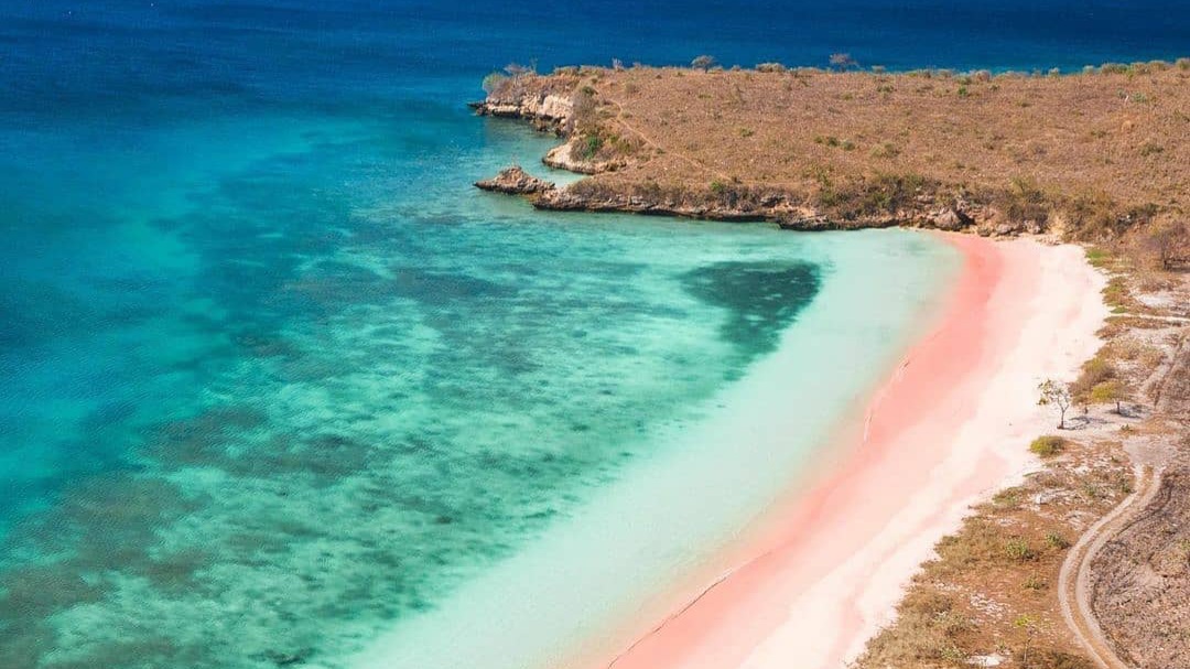 Keajaiban Alam yang Langka, 3 Pantai di Indonesia Ini Berpasir Warna Pink