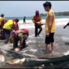 Nelayan Pangandaran