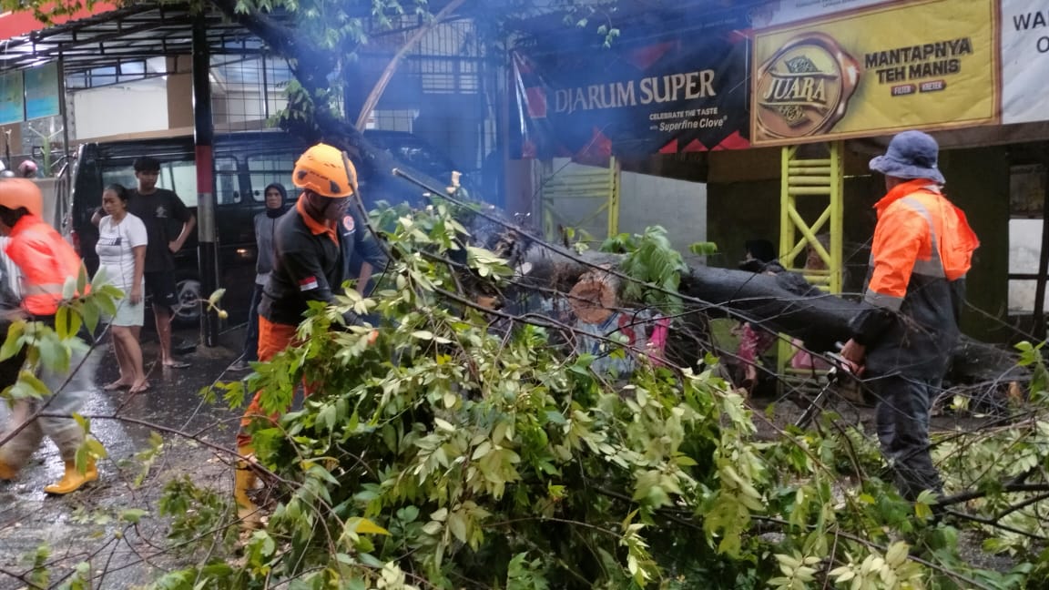 Bencana alam, Pohon Tumbang, Dadaha