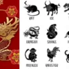Zodiak China