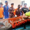 Pencari Keong Laut di Kabupaten Pangandaran