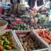 harga tomat di pasar rajapolah kabupaten tasikmalaya