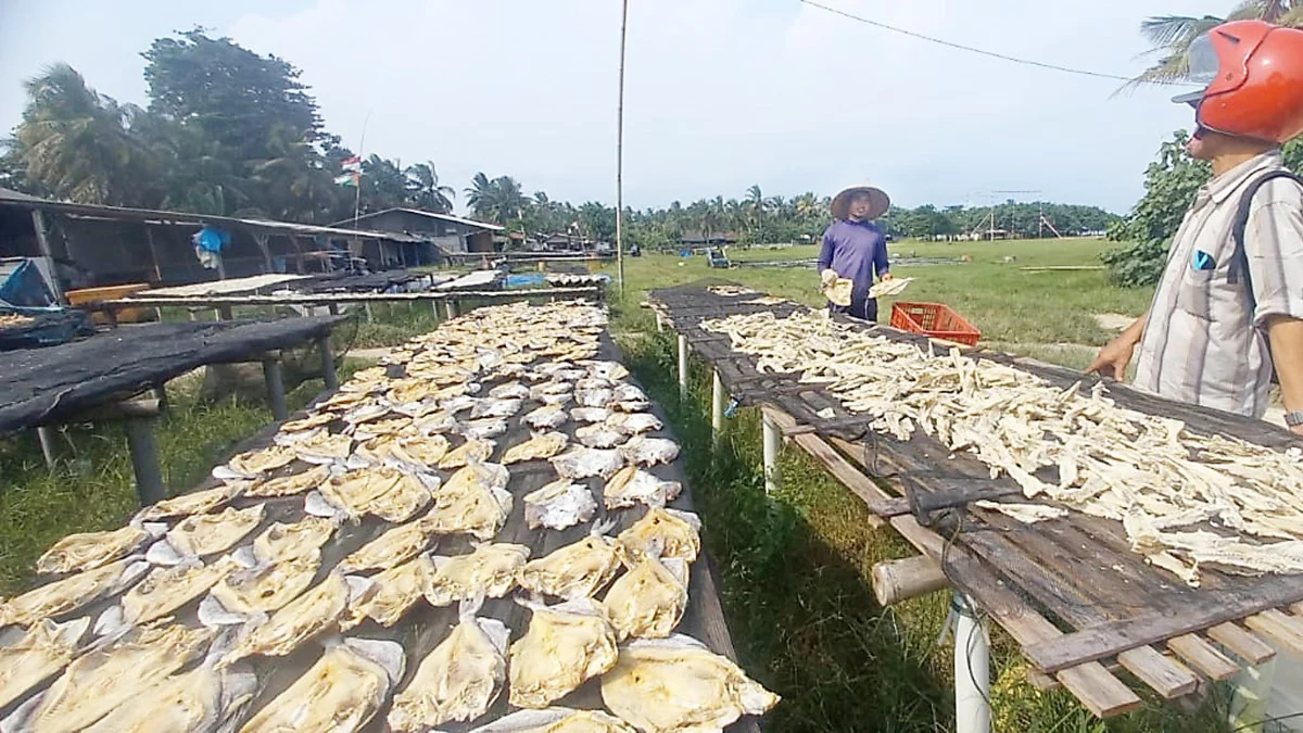 tulang ikan asin jambal roti Kabupaten Pangandaran