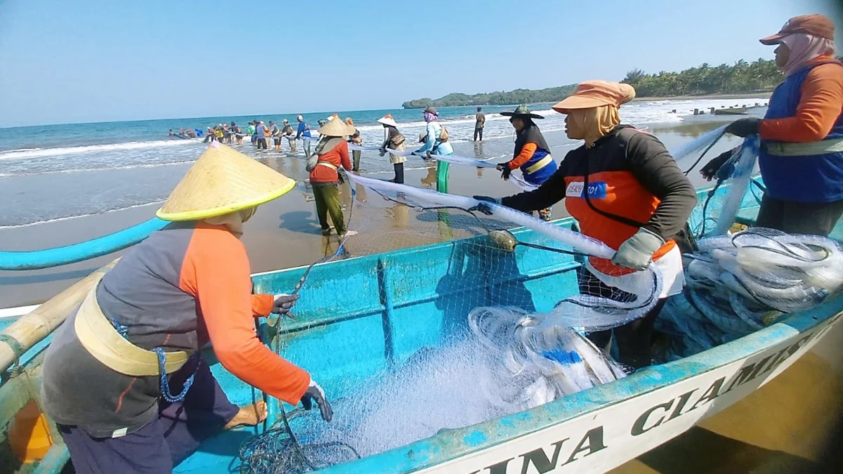 tangkapan ikan nelayan kabupaten pangandaran